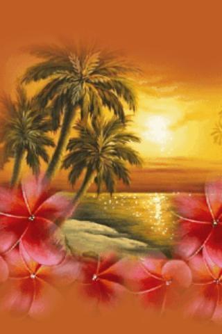 Hawaii Live Wallpaper截图1