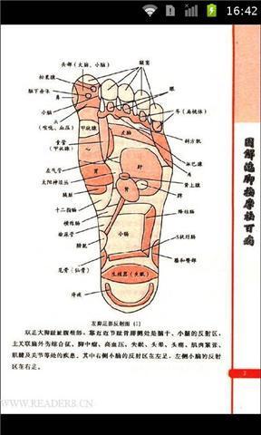 泡脚好处及药方截图2