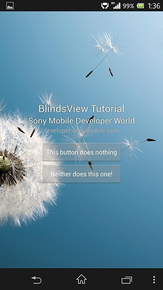 Blinds View Tutorial截图1