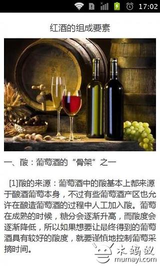 优雅的红酒截图2