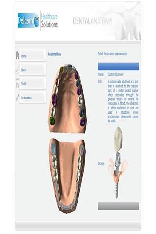 Dental Anatomy截图4