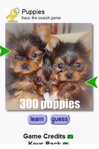 Match: Puppies截图1