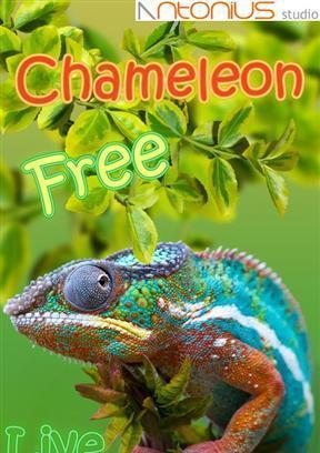 Chameleon Free Live Wallpaper截图2