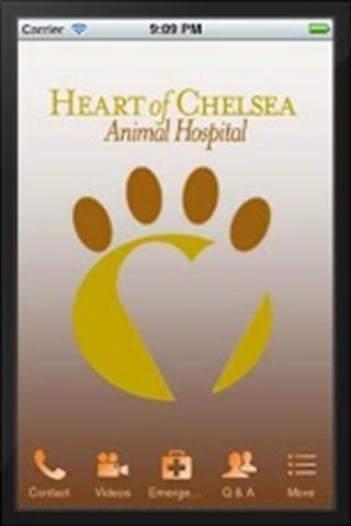 Heart Of Chelsea截图2