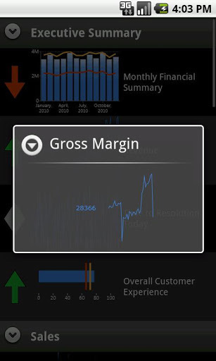 Dundas Dashboard截图4