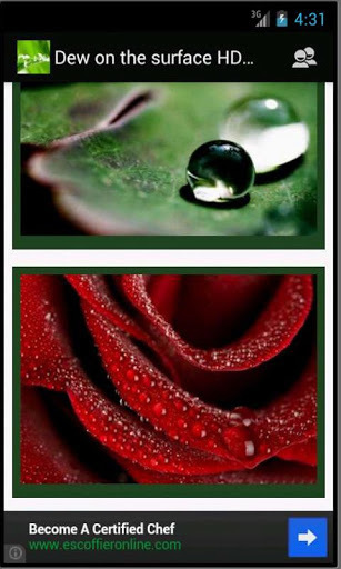 Raindrops HD Wallpapers截图7