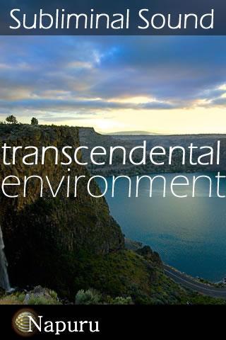 Transcendental Environment截图1