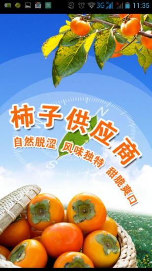中国柿子供应商截图3
