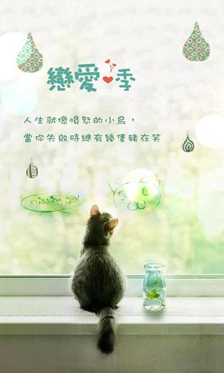 qq猫主题动态壁纸截图4