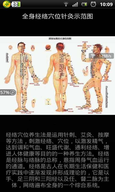 全身经络穴位针灸示范图截图2