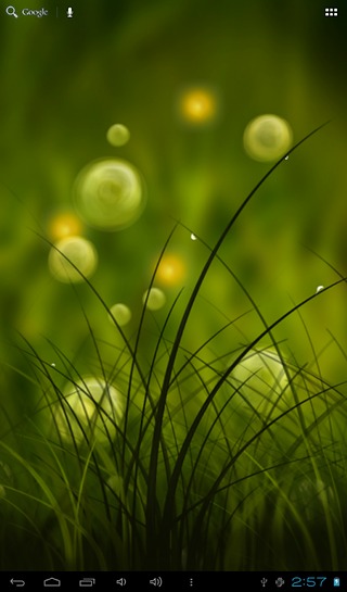 Colorful Summer Meadow Free截图3