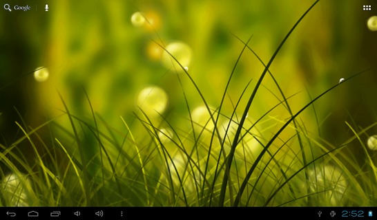 Colorful Summer Meadow Free截图7