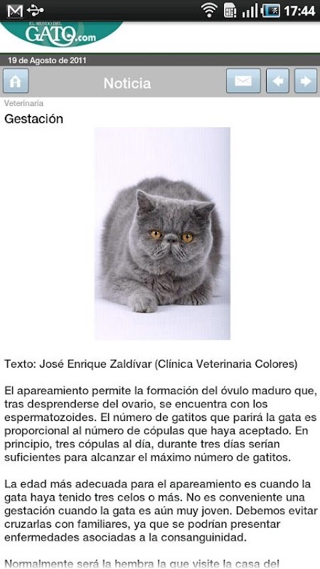 El Mundodel Gato截图1