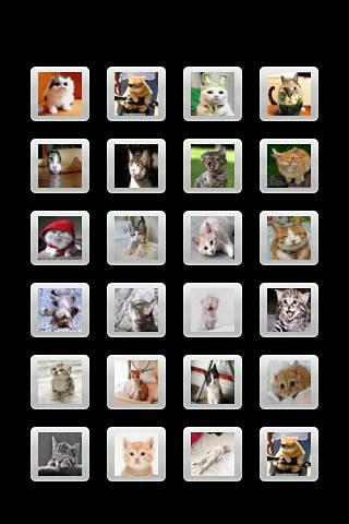 Cats Sounds截图2