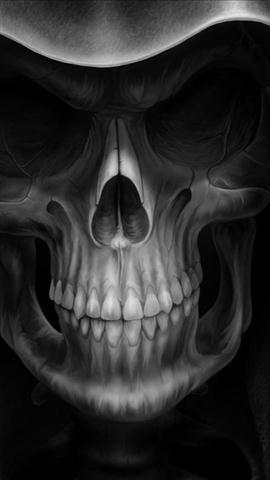 Skulls Wallpapers截图5