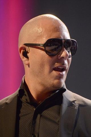 Pitbull Songs截图1