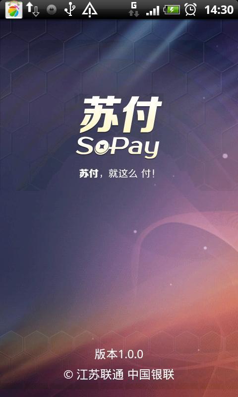 苏付sopay截图1