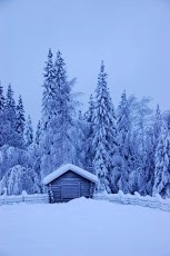 尼斯的冬季雪圖片截图1