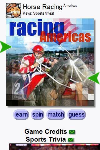 Horse Racing截图5