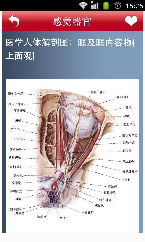 体高清全彩解剖典籍截图4