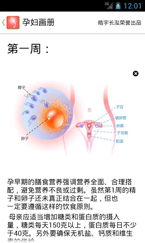 孕妇画册截图2