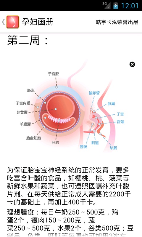 孕妇画册截图3