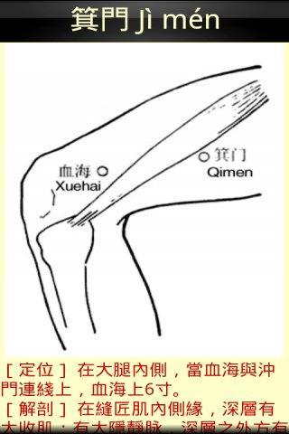 经脉穴位图截图5
