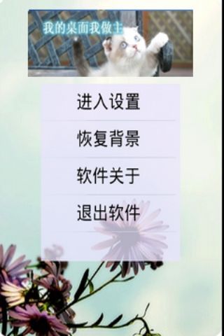 潘多拉桌面之可爱猫咪主题截图1