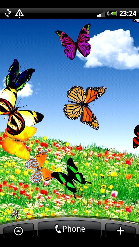 蝴蝶动态壁纸 Butterfly Live Wallpaper截图2