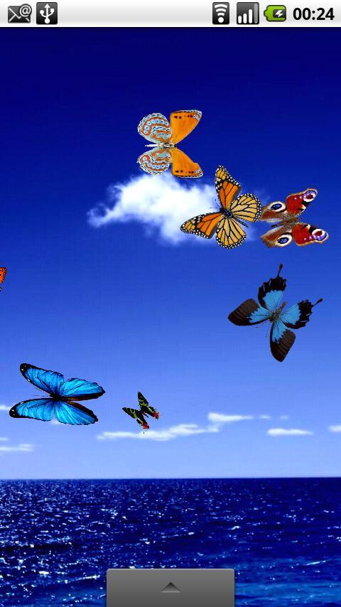 蝴蝶动态壁纸 Butterfly Live Wallpaper截图3