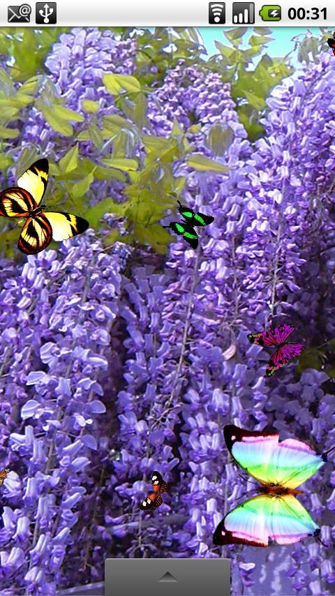 蝴蝶动态壁纸 Butterfly Live Wallpaper截图10