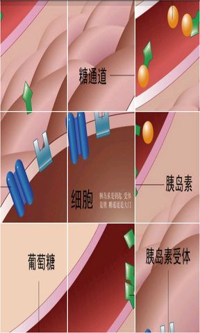 糖尿病拼图截图3