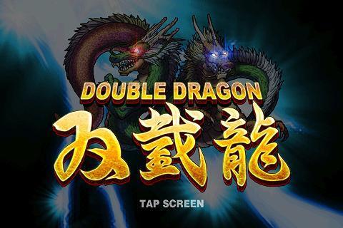 双截龙完整版 Double Dragon截图1