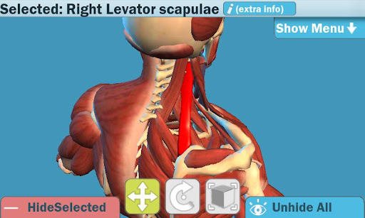 3D解刨截图4