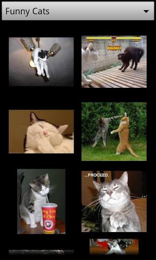 Cats & Dogs AD截图2