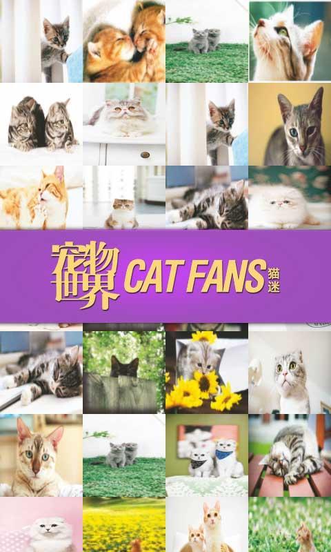 宠物世界.猫迷截图1