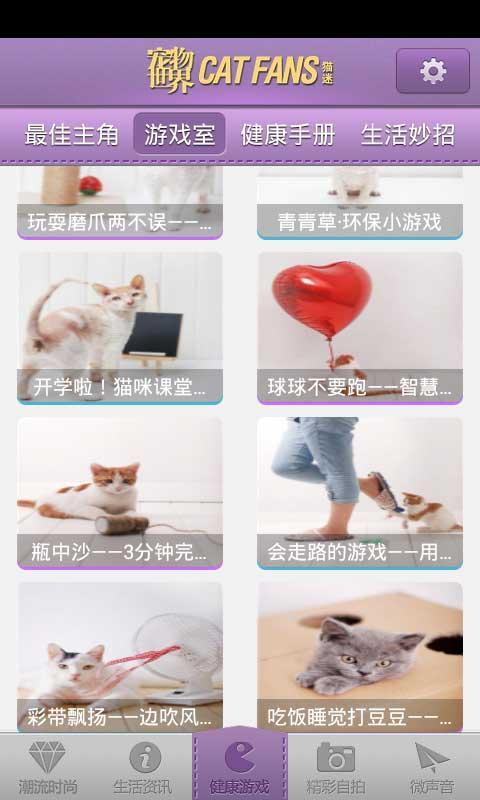 宠物世界.猫迷截图3