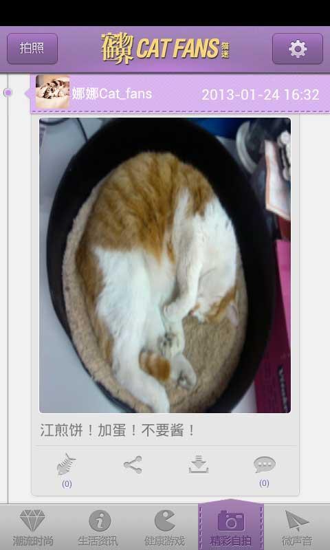 宠物世界.猫迷截图4