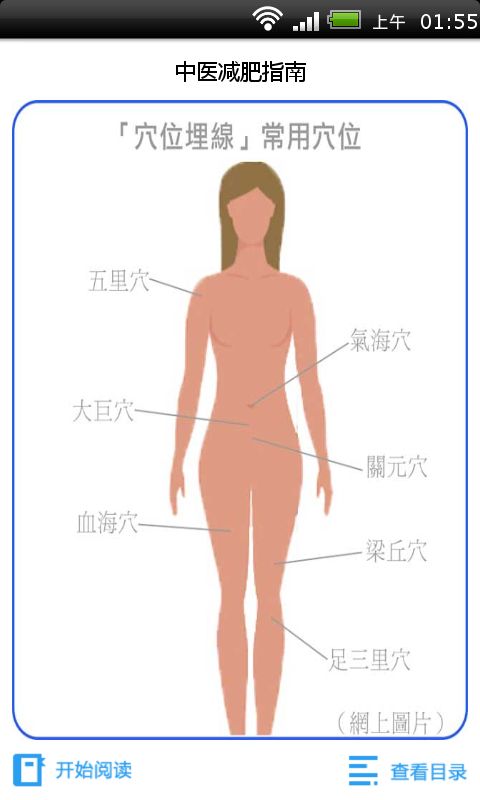 中医减肥指南截图3