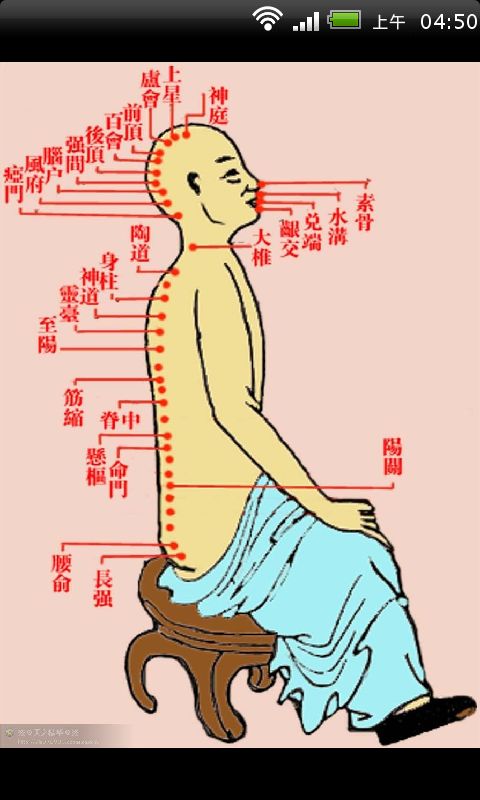 道家古典经络全息图彩色高清版截图2