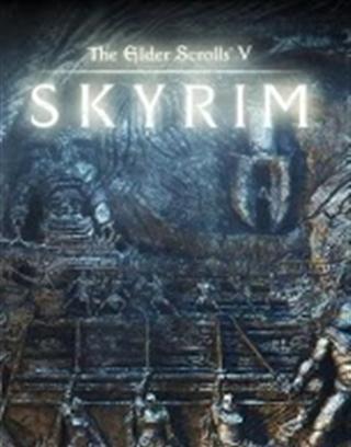 Topgame: 3D The Elder Scrolls V Skyrim Live Wallpaper HD截图2