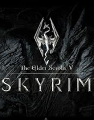 Topgame: 3D The Elder Scrolls V Skyrim Live Wallpaper HD截图4