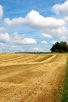 Farmland USA Wallpaper 截图1