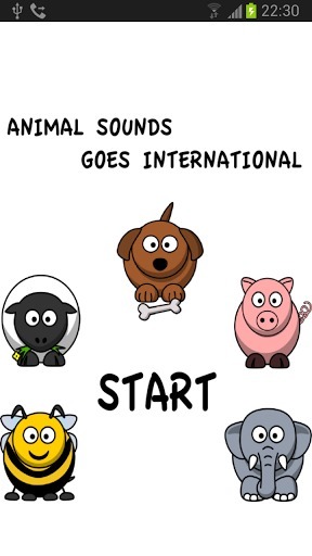 International Animals截图1