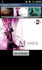 Fastpaper Guild Wars 2截图1