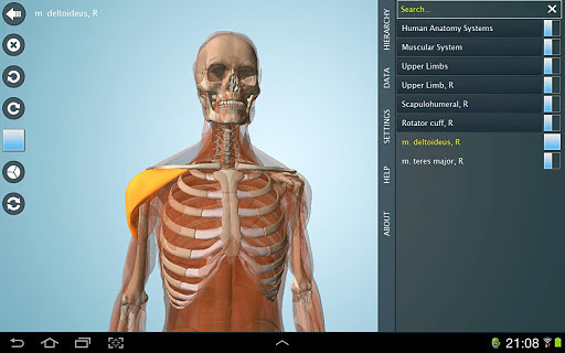 Anatomy 3D - Anatronica截图1