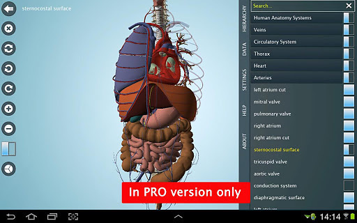 Anatomy 3D - Anatronica截图6