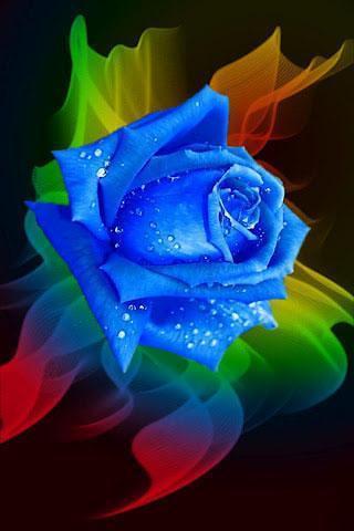 Rose 3D截图4