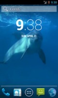 Amazing Dolphins HD截图3