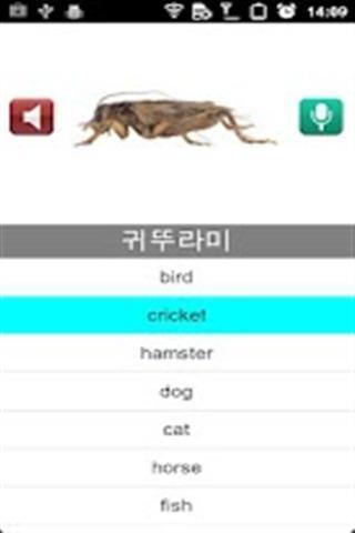 快速学韩语截图5